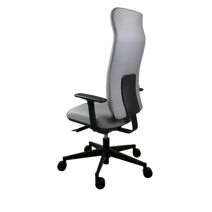 motion.plus ergonomischer Bürostuhl mit Armlehnen
und hoher Rückenlehne, Rückansicht