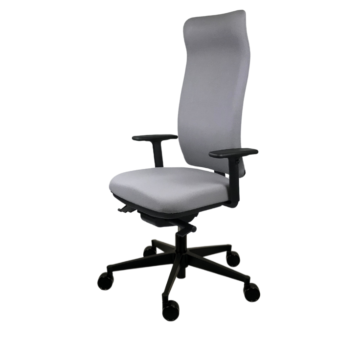 motion.plus ergonomischer Bürostuhl mit Armlehnen
und hoher Rückenlehne, Seitenansicht